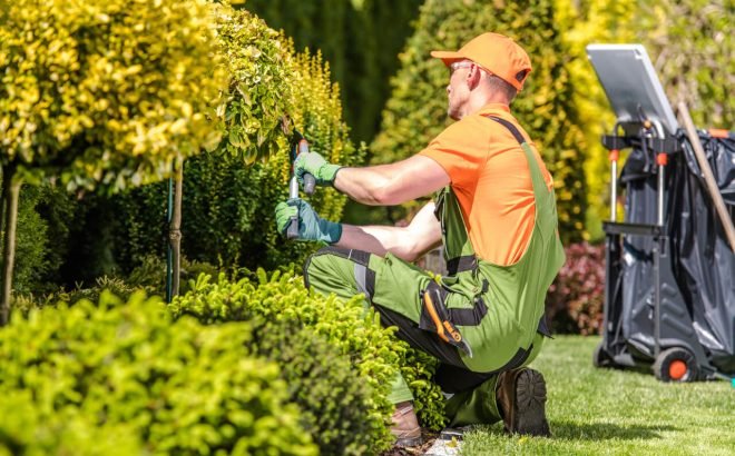 Garden & Outdoor Maintenance Services
