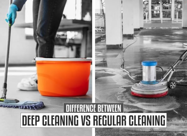 Deep Cleaning vs. Regular Cleaning